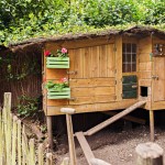 Urban farming I