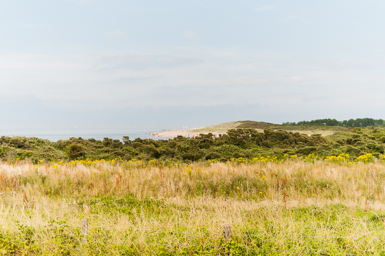 Zeeland in juli