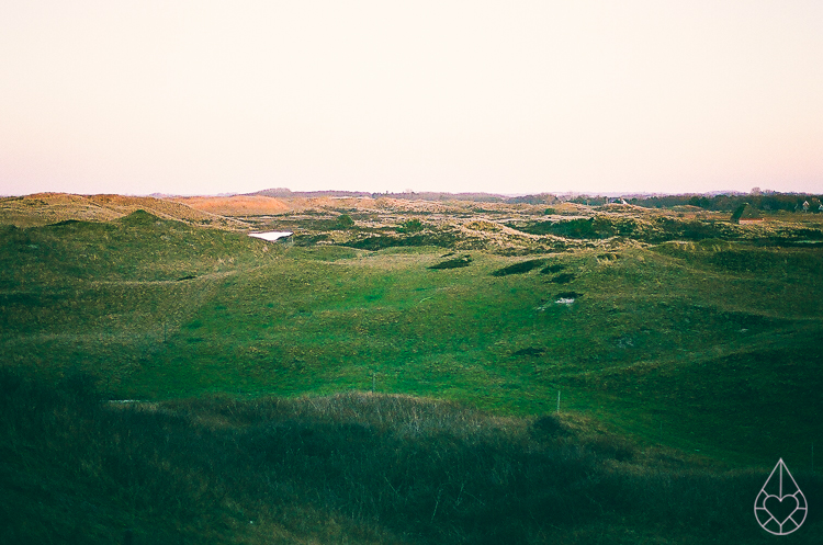 Texel analoog