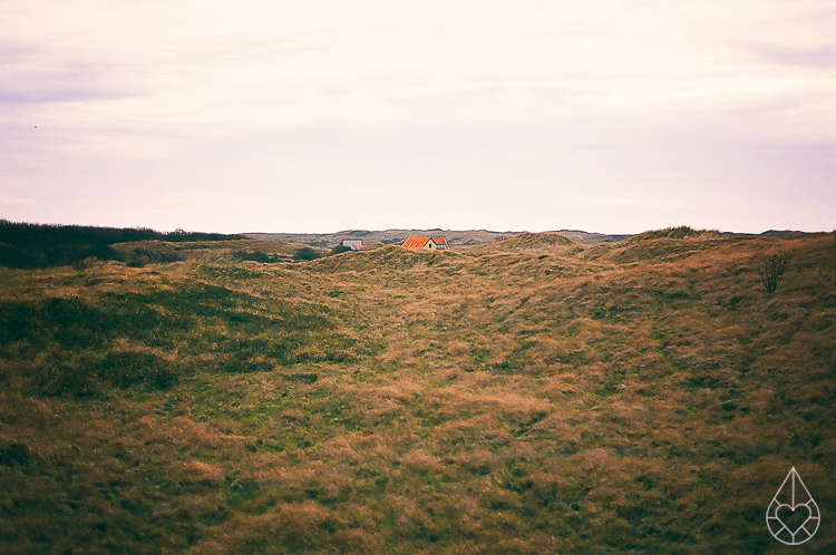 Texelfotorolletje