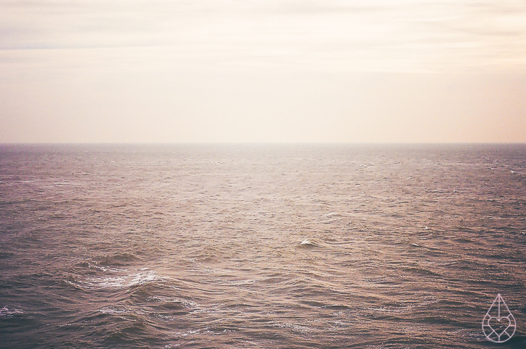 Waddenzee on film