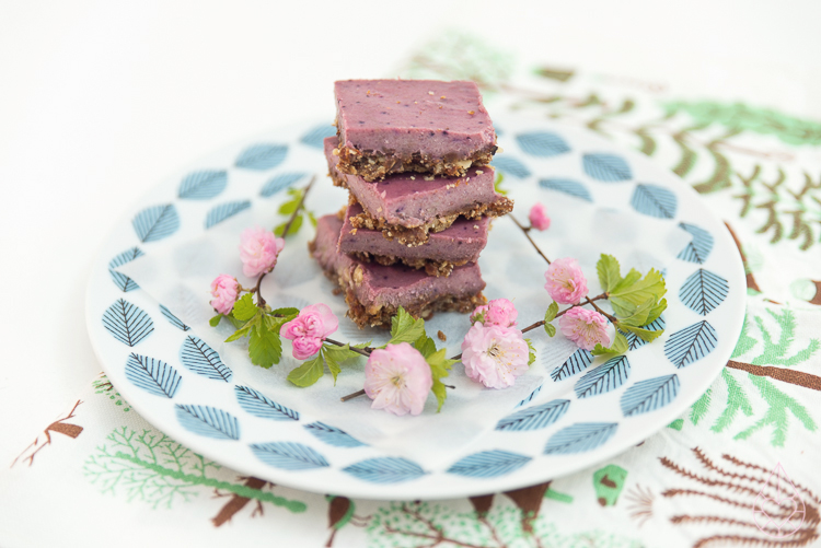 raw vegan fruit bar