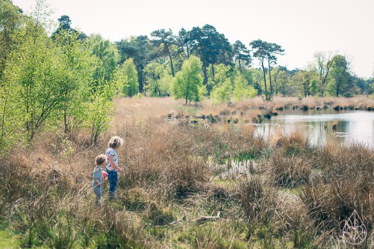 kampina brabant