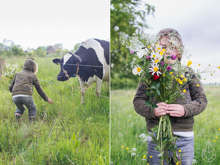 Campina BOER en LAND1