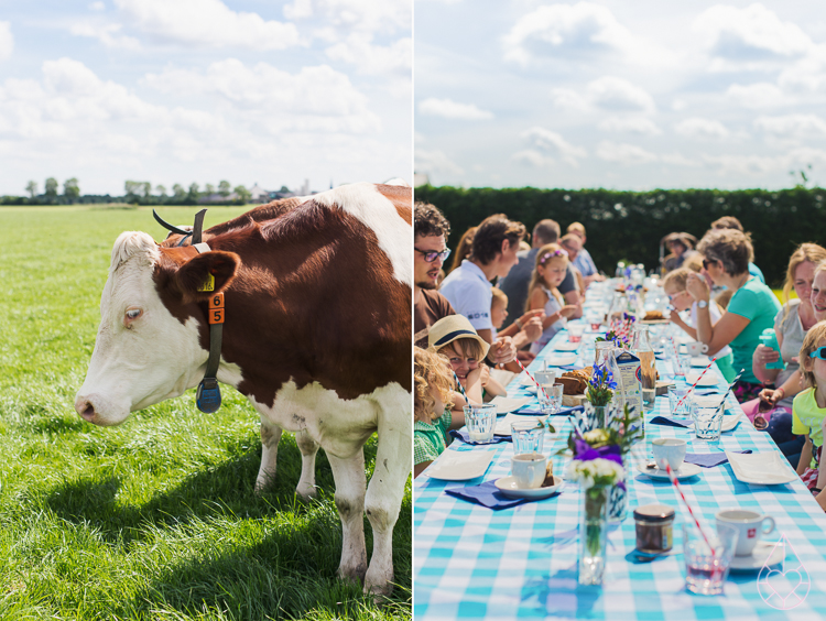 Campina BOER en LAND3