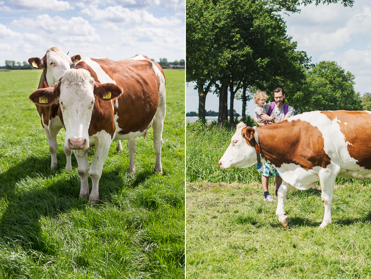 Campina BOER en LAND4