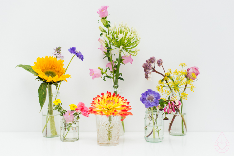 bloemen Zilverblauw