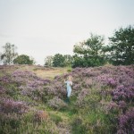 Heathland