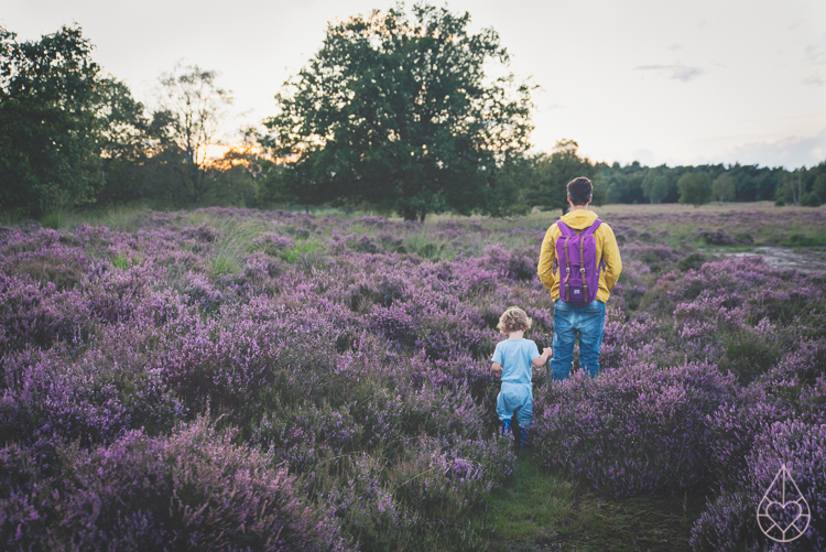 Heathland Kampina Oisterwijk, by Zilverblauw.nl