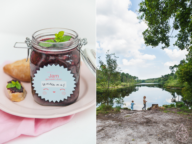 picking wild blackberries and making jam, by Zilverblauw.nl