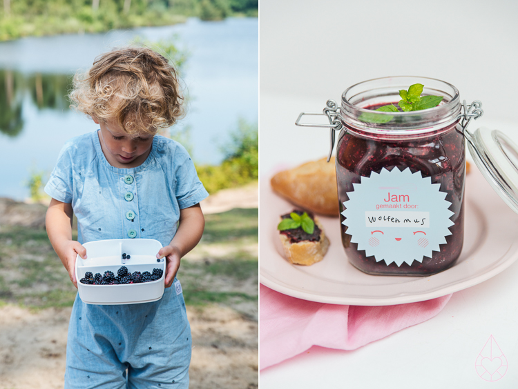 picking wild blackberries and making jam, by Zilverblauw.nl