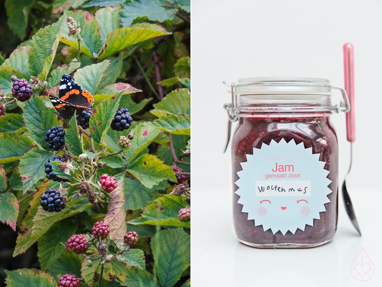 picking wild blackberries and making jam, by Zilverblauw.nl