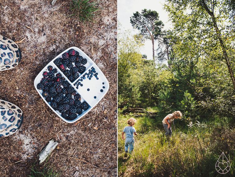 picking wild blackberries and making jam, by Zilverblauw.nl