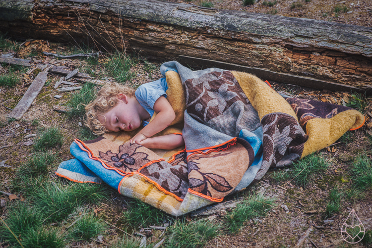 picking wild blackberries and making jam, by Zilverblauw.nl