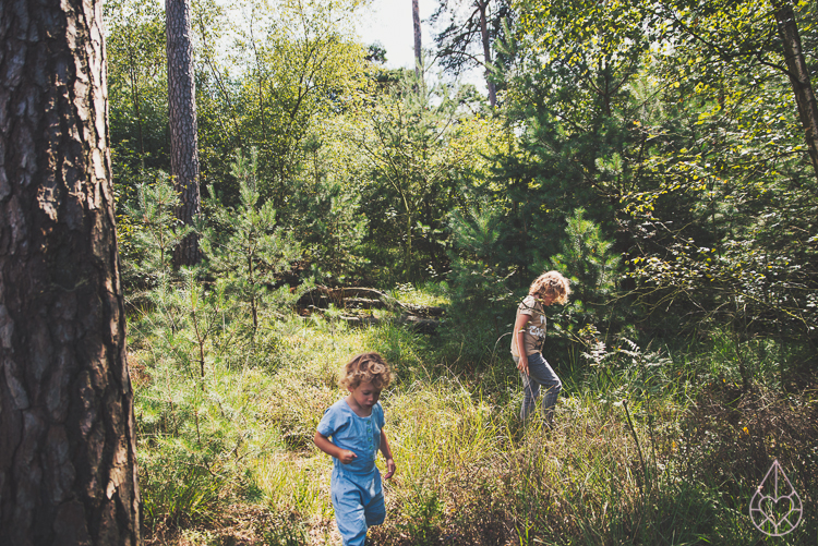 picking wild blackberries and making jam, by Zilverblauw.nl