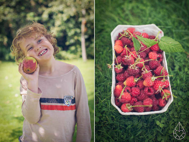 roze appelmoes, by zilverblauw.nl