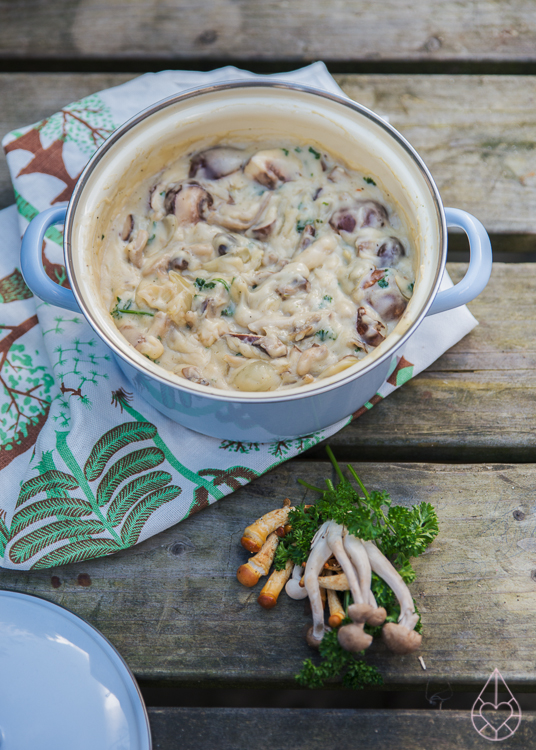 vegetarische paddenstoelenragout, door zilverblauw.nl