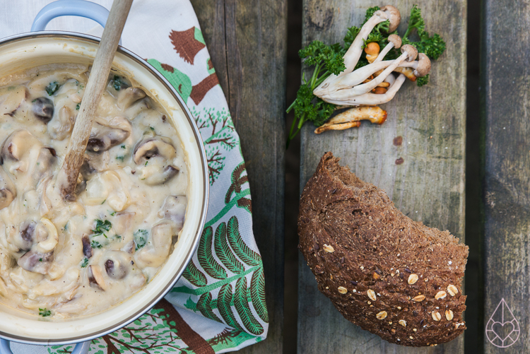 vegetarische paddenstoelenragout, door zilverblauw.nl