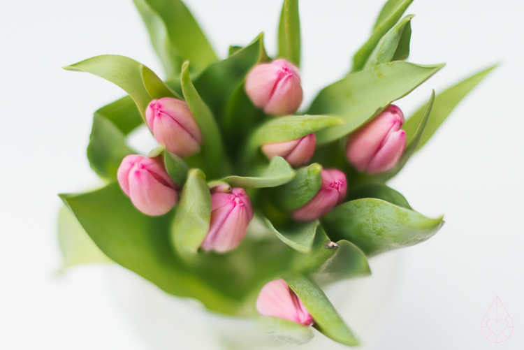 Winter/spring, by zilverblauw.nl