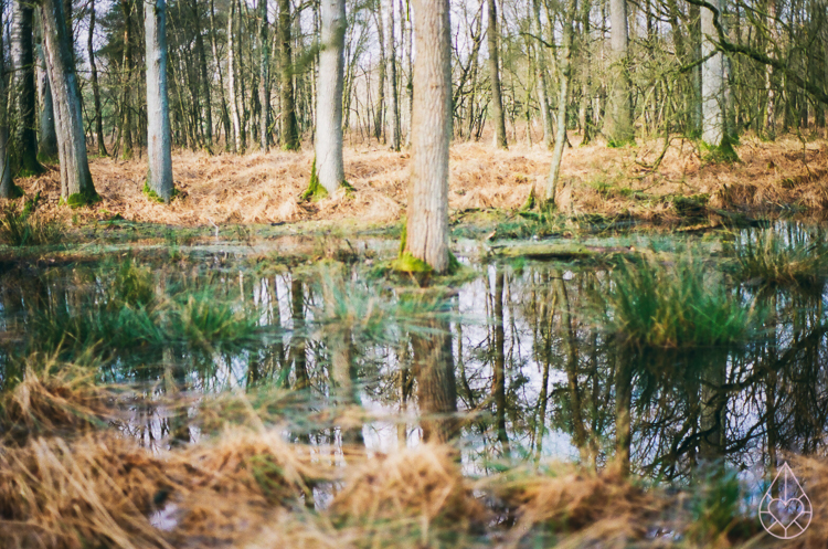 winter, nikon FE, by zilverblauw.nl