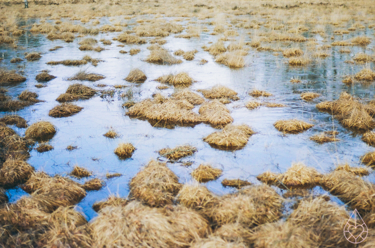 winter, nikon FE, by zilverblauw.nl