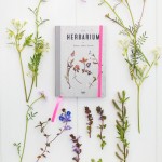 Give away: Pocket Herbarium