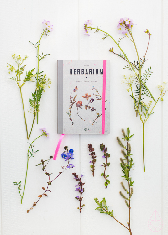 pocket herbarium, by zilverblauw.nl