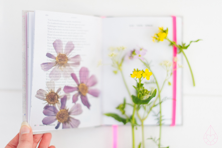 pocket herbarium, by zilverblauw.nl