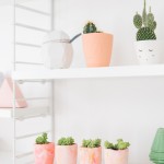 DIY plaster planters