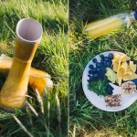 Picknick