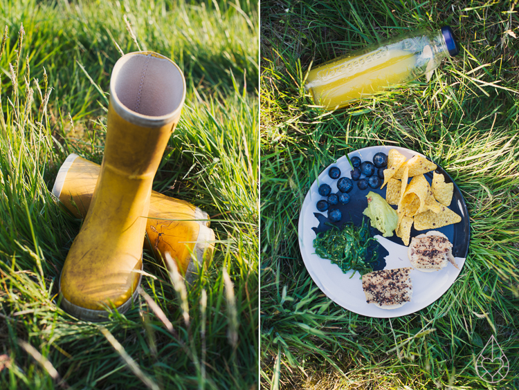 picknicken 2015, by zilverblauw.nl