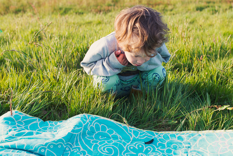 picknicken 2015, by zilverblauw.nl