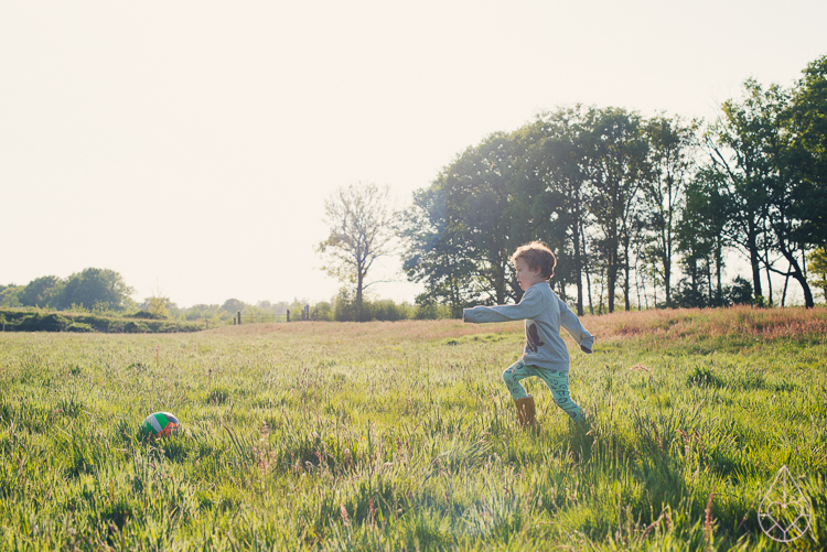 picknicken 2015, by zilverblauw.nl