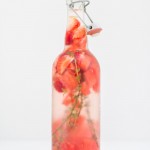 Fruitwater & zomervakantie