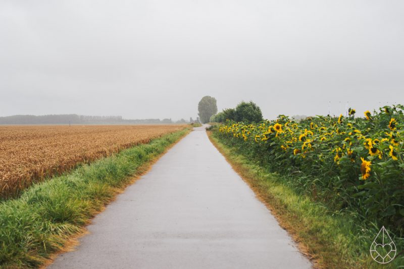 zilverblauw.nl