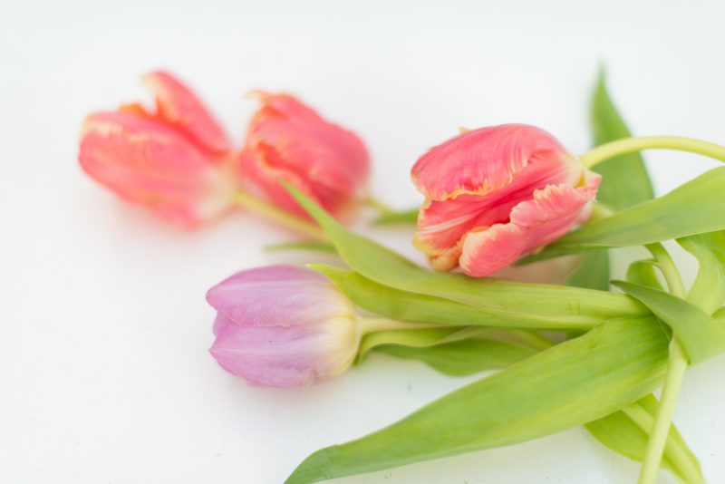 bloemenmeisje - mooi wat bloemen doen