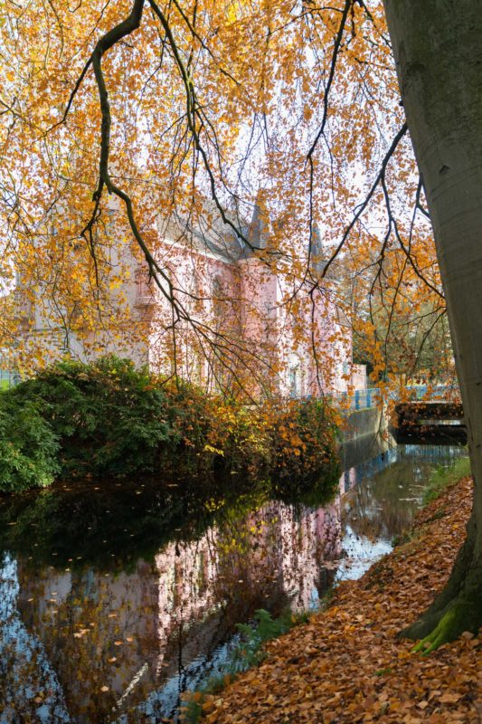 Roze kasteel Land van Ooit