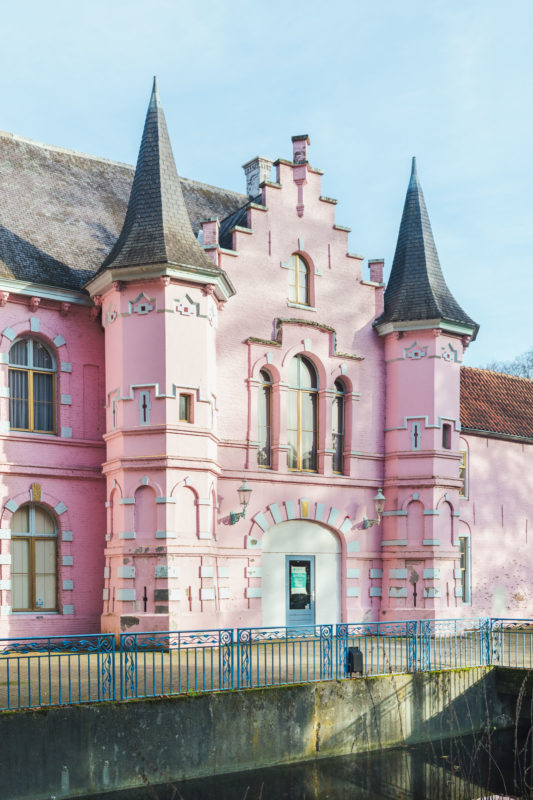 Roze kasteel Land van Ooit