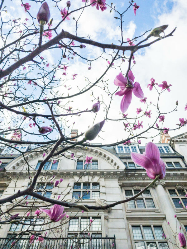 lente in Londen