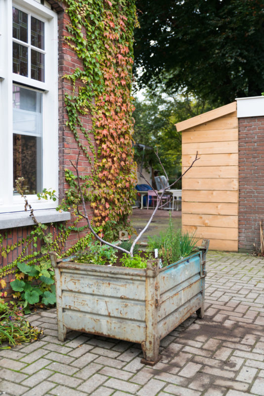 kruidentuintje maken in bloembak